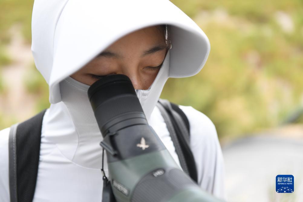 注册送37威尼斯